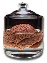 Red Brain